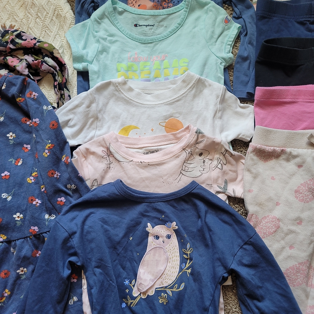 Baby Girl 2T Assorted Baby Clothing Bundle Set - 15 Piece Lot - Picture 4 of 9